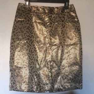 Women’s Skirt